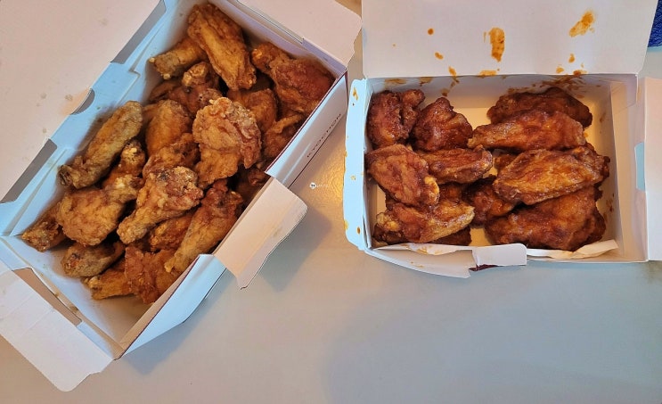  교촌치킨 레드윙과 교촌윙 요로케 한마리반