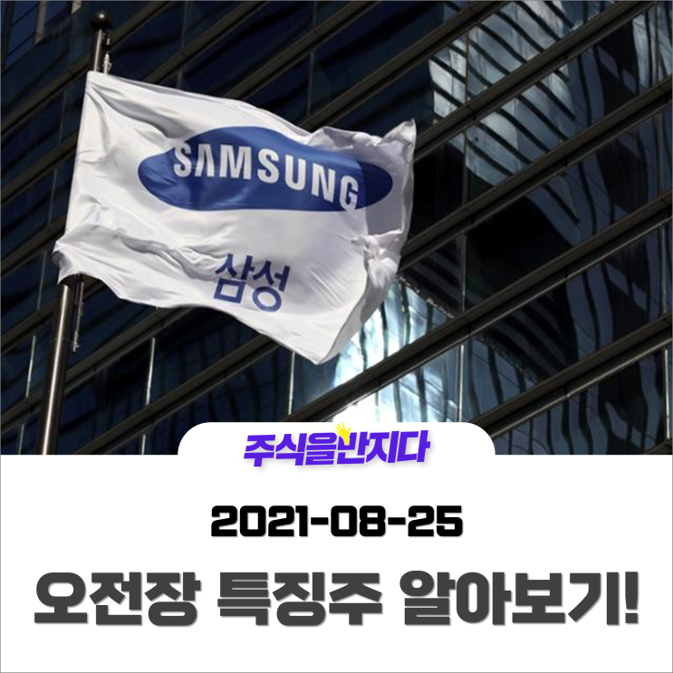  [오전장 특징주] 삼성전자 240조 대규모 투자소식에 개별종목들의 움직임은?