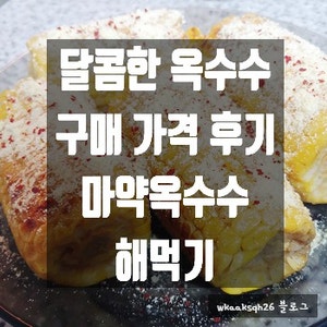  [1년 전 오늘] [마약 옥수수]송이애 달콤한 옥수수로 마약 옥수수 해먹기/달콤한 옥수수 구매 가격 후기(마약 옥수수 레시피)