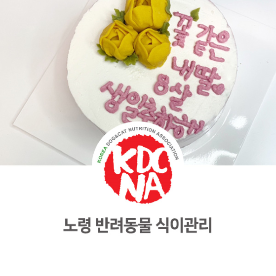  노령 반려동물에게 도움이 되는 영양소 [펫푸드자격증/한국반려동물영양협회/화성/광주/부천/강화/용인]_874