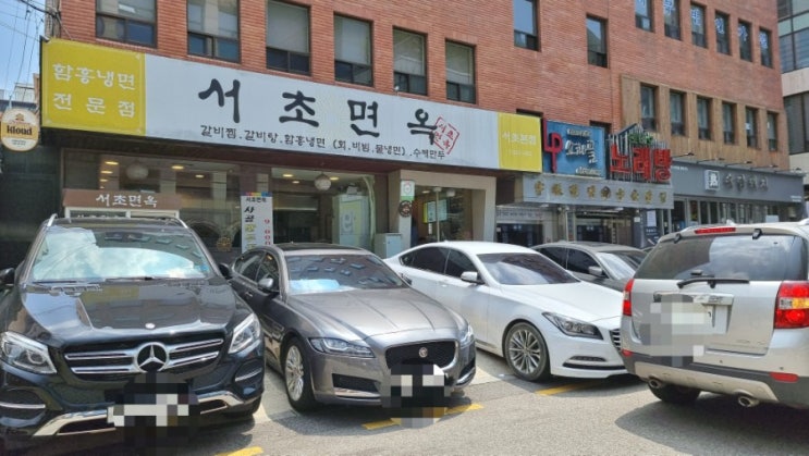  회냉면이 맛있는 강남 교대역 맛집 서초면옥