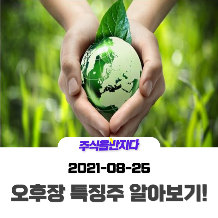 [오후장 특징주] 기후변화대응기금 신설 기대감!! 친환경정책이 본격화?!