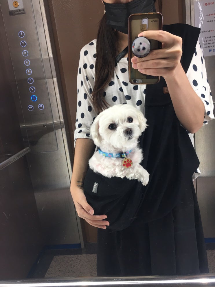  강아지 장난감 오뚜기 스낵 볼