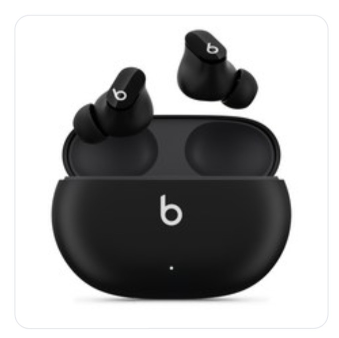 Apple 애플 정품 Beats 스튜디오 버즈