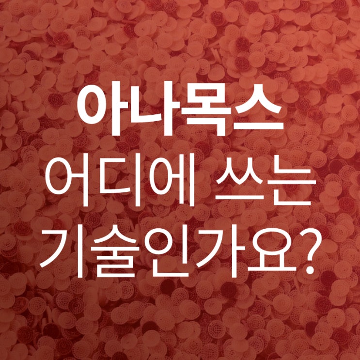  [AMX]아나목스, 어디에 쓰는 기술일까?