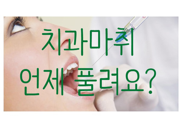  당감동 감동 치과 마취 언제 풀리나