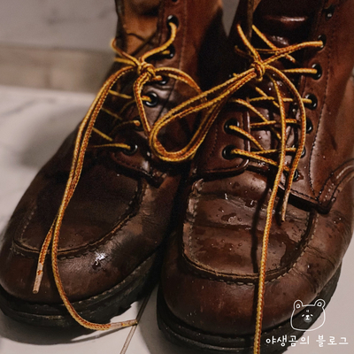  홈세라 신발관리기로 비에 젖은 신발 말리세요 ft. 홈세라 신발청정기U S100
