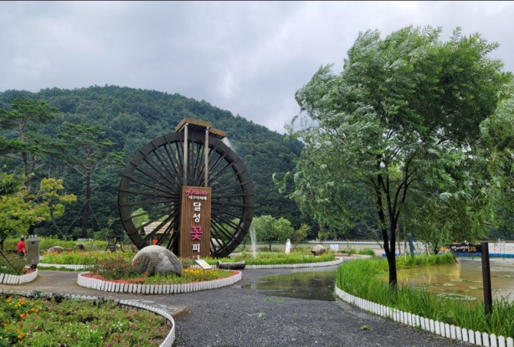  대구 달성군 산책하기좋은 곳-옥연지 송해공원