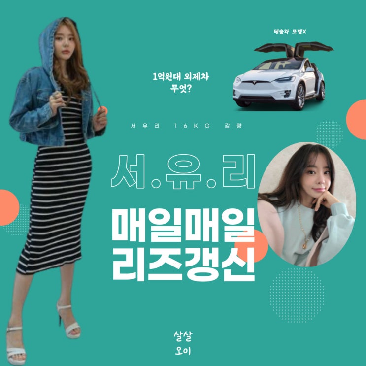  서유리 다이어트 몸무게 16kg 감량 1억원대 외제차 테슬라 모델X