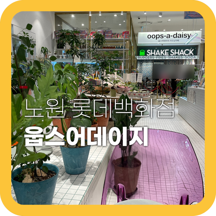 웁스어데이지 노원 롯데백화점 카페일까 꽃집일까 웁스어데이지 노원 롯데백화점 카페일까 꽃집일까