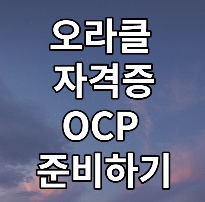  오라클 자격증 OCP 취득을 위하여... ㅠㅠ