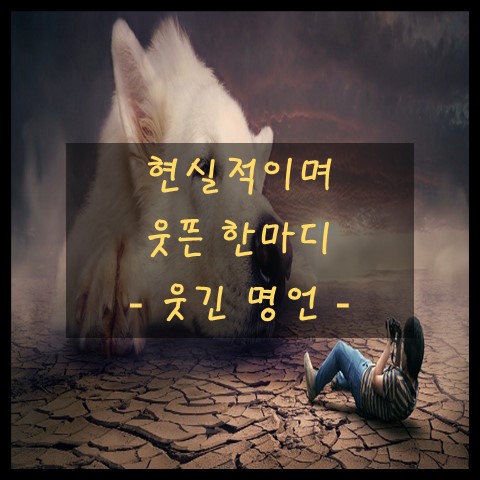  [웃긴 명언] 현실적인 한마디, 재미있는 글귀