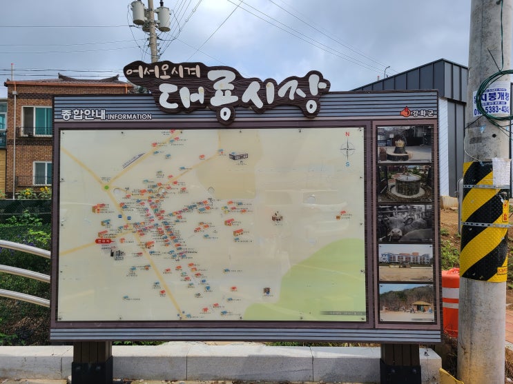  강화도 교동/ 가볼만한 곳 [대룡시장구경, 연꽃보기, 파머스마켓(촌스러운사자발약쑥라떼)]