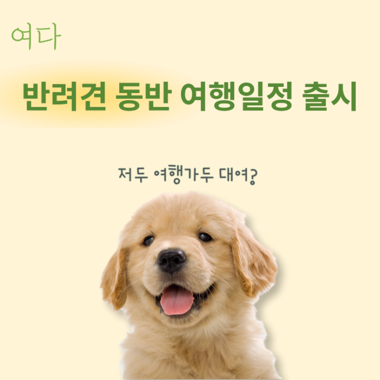  [반려견 동반 일정 출시] 이제 반려견도 같이 여행가요~