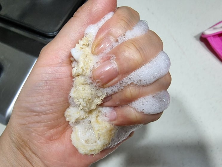  친환경설겆이비누 천연수세미:네가 옳았다.