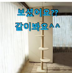 대박난 딩동펫튼튼원목캣타워 추천상품 리뷰 선택하니 웃음이 나오네요. 대박난 딩동펫튼튼원목캣타워 추천상품 리뷰 선택하니 웃음이 나오네요.