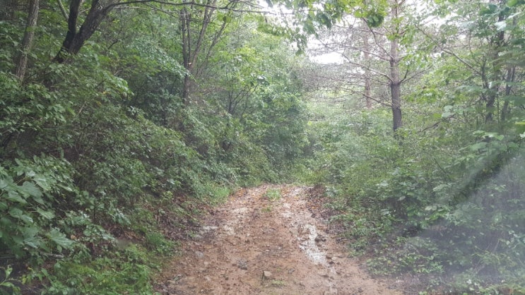  청송 산길 오프로드 즐기기