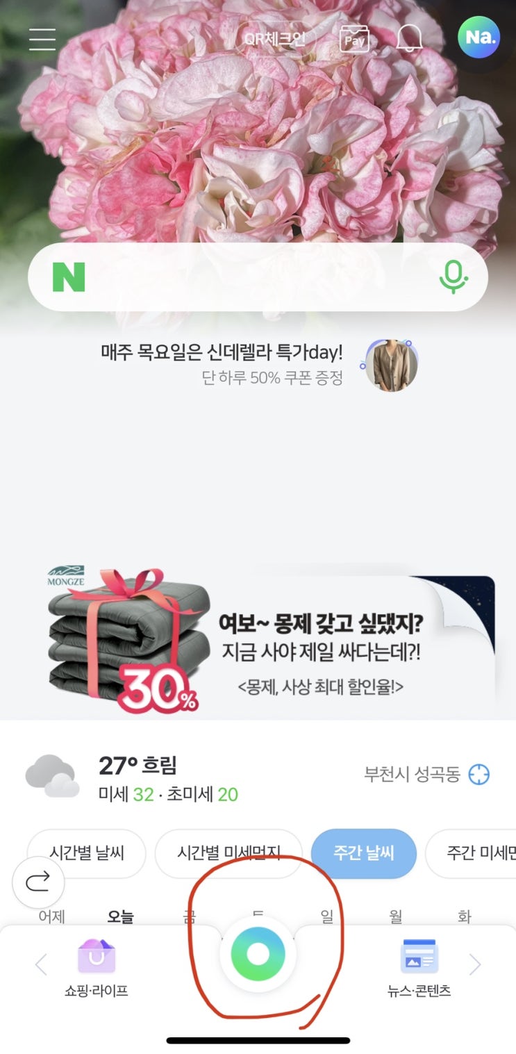  제라늄 사기 안당하는법?(번외)