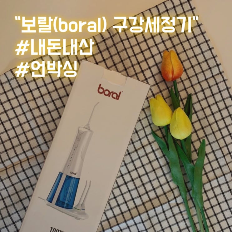보랄(boral)구강세정기 BR-APC3001 (내돈내산)