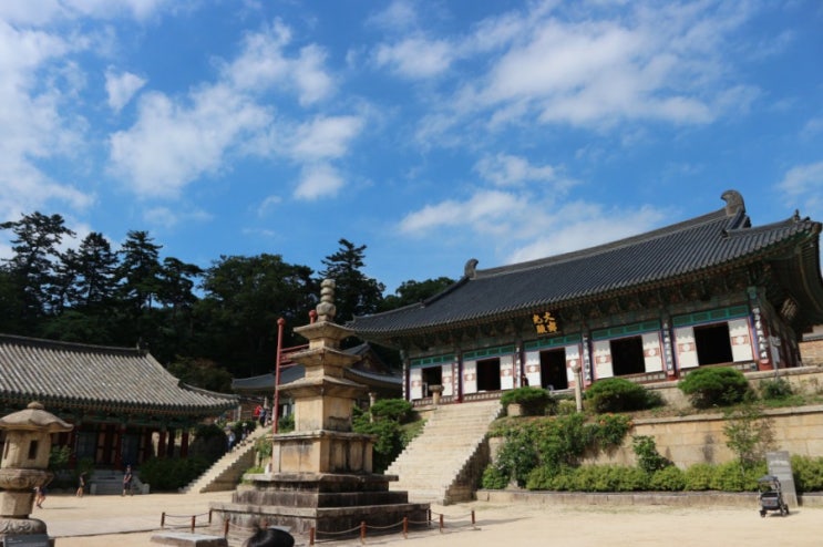  합천 가볼만한곳, 해인사  팔만대장경, 경남 유명한 사찰
