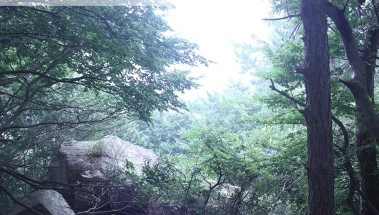  법률상담-금천채권을 변제받기 위한 간편한 소송절차인 지급명령제도