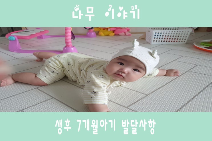  생후 7개월 아기 발달사항(feat.나무의 생후7개월)