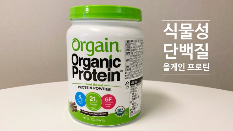  식물성단백질 추천 맛있는 올게인 프로틴 초코맛