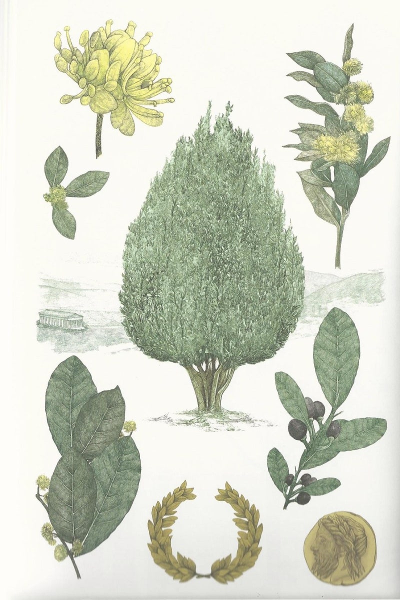 틔우머 | 조안나 (@teeumer) • Instagram photos and videos, image size:800x1200