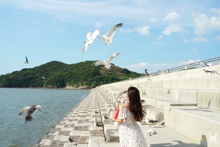  대부도 가볼만한곳 탄도항 포함 여행코스 5곳