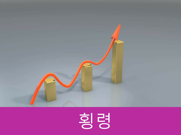  회삿돈 횡령 시 10년 이하의 징역 또는 3000만 원 이하의 벌금!!