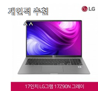  현명한선택 lg그램 좋은 아이템 맘에 들어요.