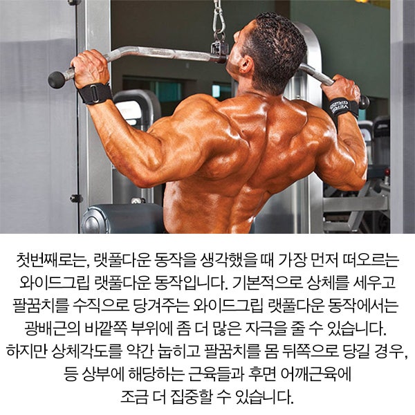 랫풀다운의 모든것! : 네이버 블로그 랫풀다운의 모든것! : 네이버 블로그
