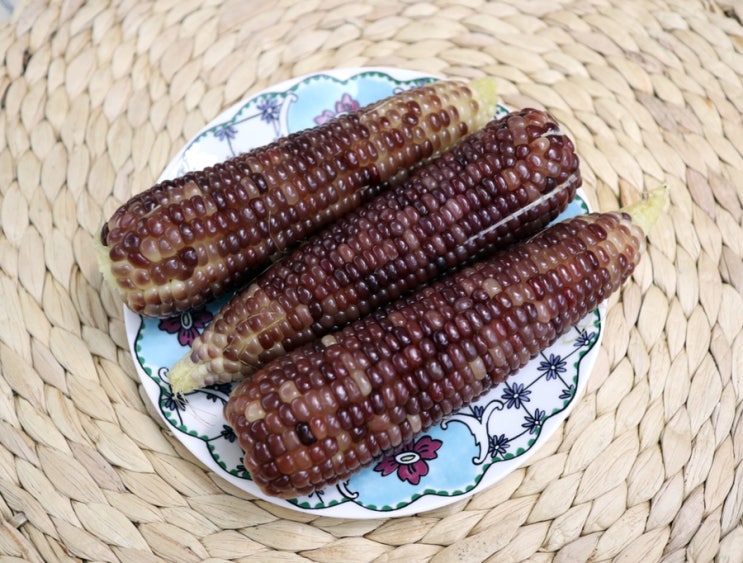  강원찰옥수수 110옥수수 맛있는옥수수 추천해요
