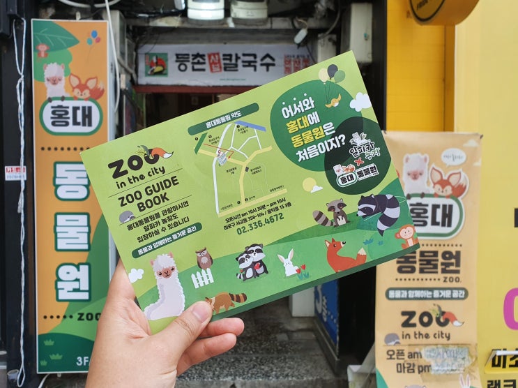  서울 실내 동물원 홍대 카페 이색 실내데이트 코스로 추천
