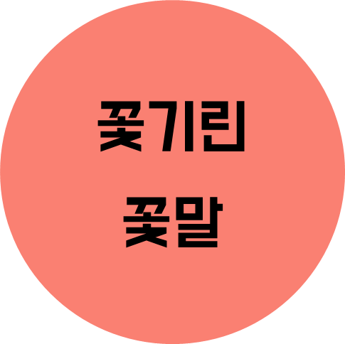 칸나 꽃말 여름에 피어나는 여러해살이풀