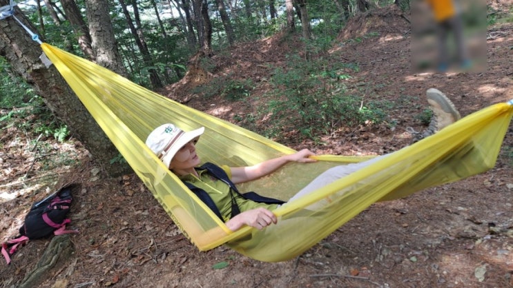  숲해설가의 하루