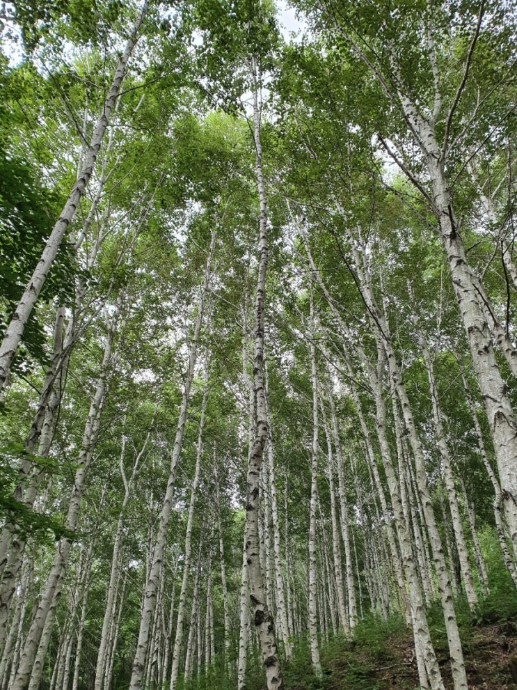  김천 꼭꼭!! 가볼 만한 곳