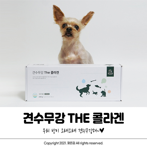 강아지준비물 견수무강 먹고 우리 방이 견수무강해 :) 강아지준비물 견수무강 먹고 우리 방이 견수무강해 :)