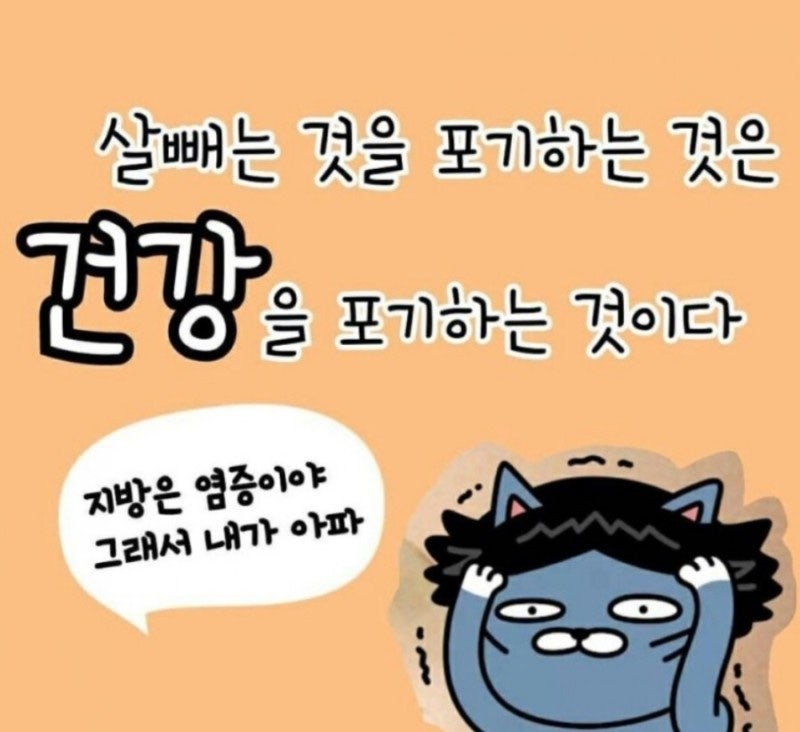 해피점핑하이 이미지