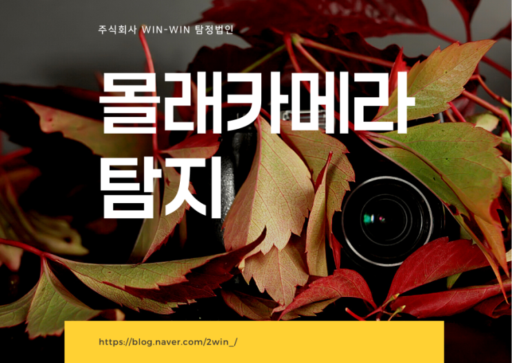  몰래카메라 탐지 윈윈과 함께 하세요-