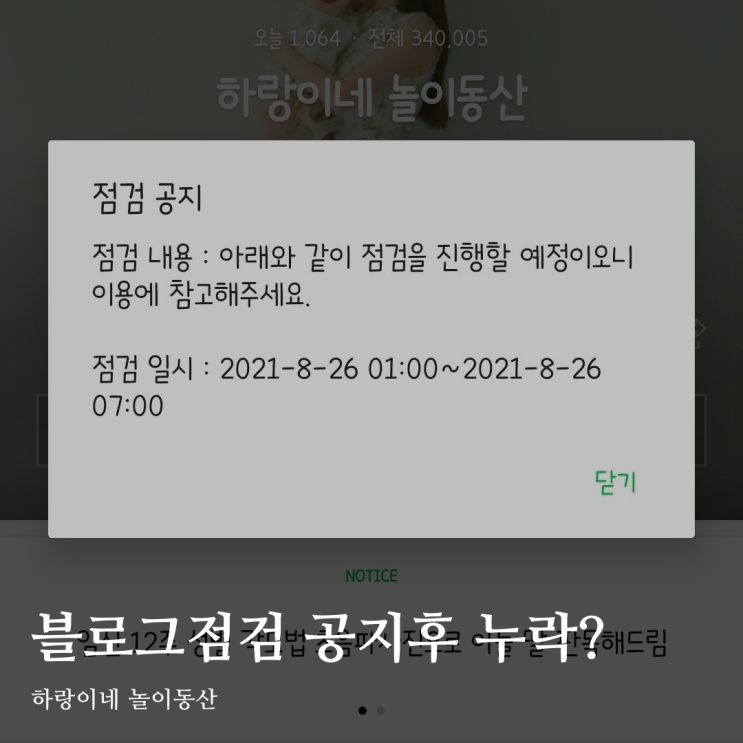  네이버블로그 점검 공지 후 뷰 누락 발생