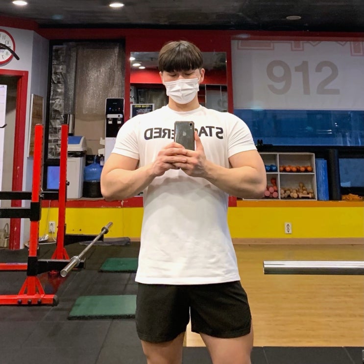  남자 머슬핏 반팔, 헬스장운동복 짐웨어 추천 스테저드