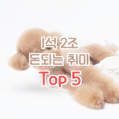 돈되는취미로 돈도 벌고 재미도 챙기고!