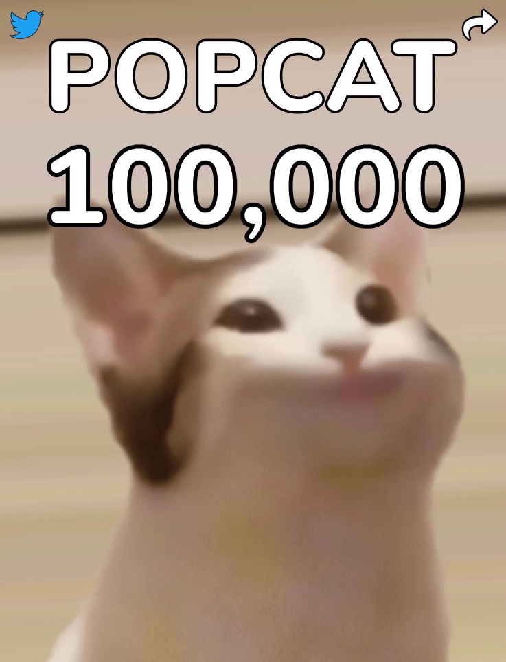  [ 미니게임 / 웹게임 ] 세계인이 참여하는 POP CAT 팝캣게임 - 코드공유,꿀팁