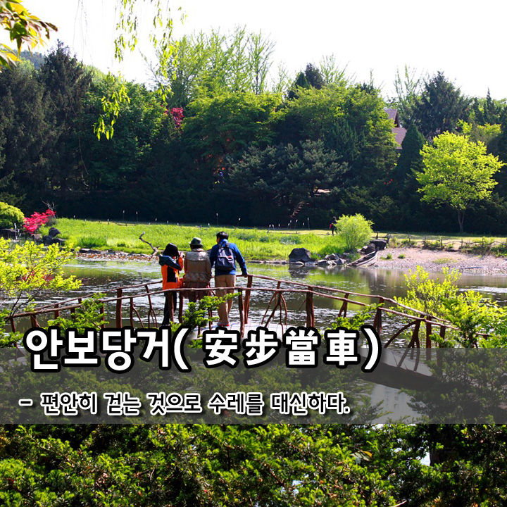  안보당거(安步當車)