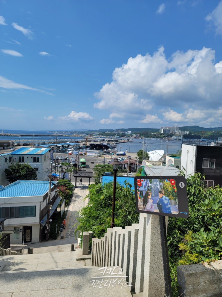  포항여행 #01 <구룡포 일본인 가옥거리, 동백꽃필무렵 촬영지, 까멜리아 인 구룡포>