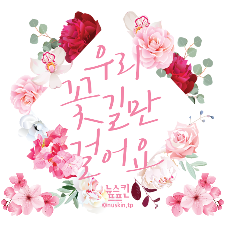  뉴스킨 사업 못 할 이유는 있어도 안 할 이유는 없다
