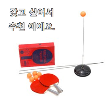  선물하기 좋은 셀프탁구놀이 인기 리스트 와이프가 인정하네요
