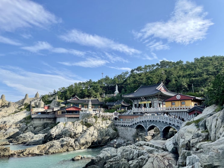 부산 가볼만한곳, 기장 해동용궁사 (+주차, 관람시간) 부산 가볼만한곳, 기장 해동용궁사 (+주차, 관람시간)