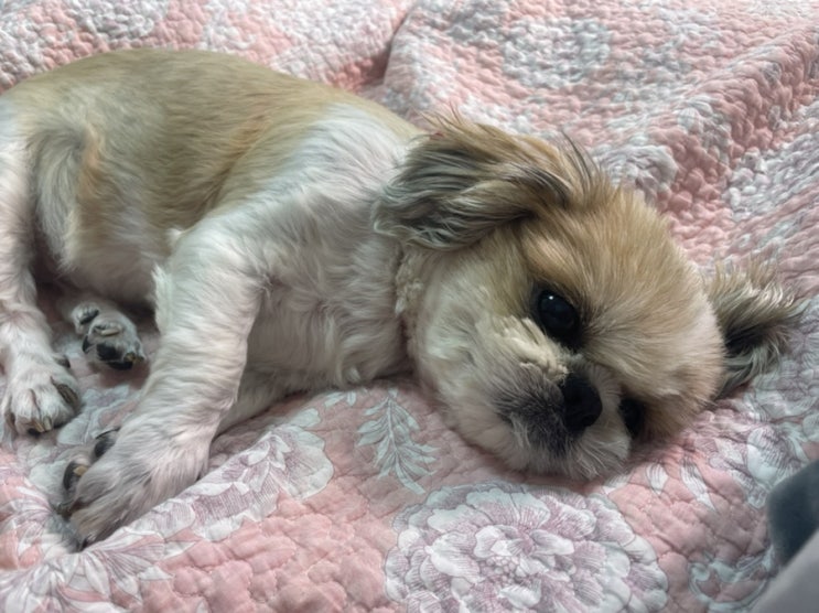  이발하기전~